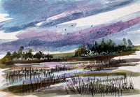 Meadow Lake