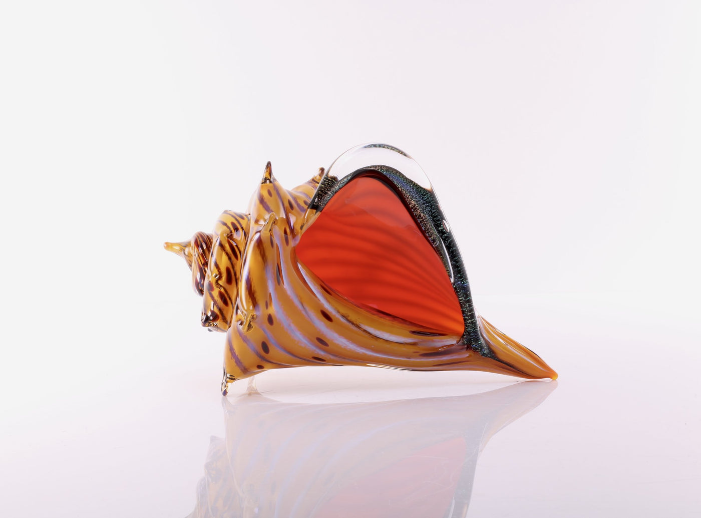 The Beach, Conch Shell