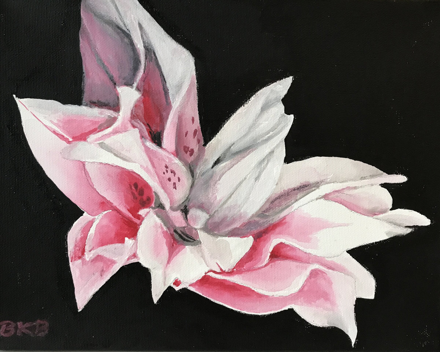 Elegance Spray
