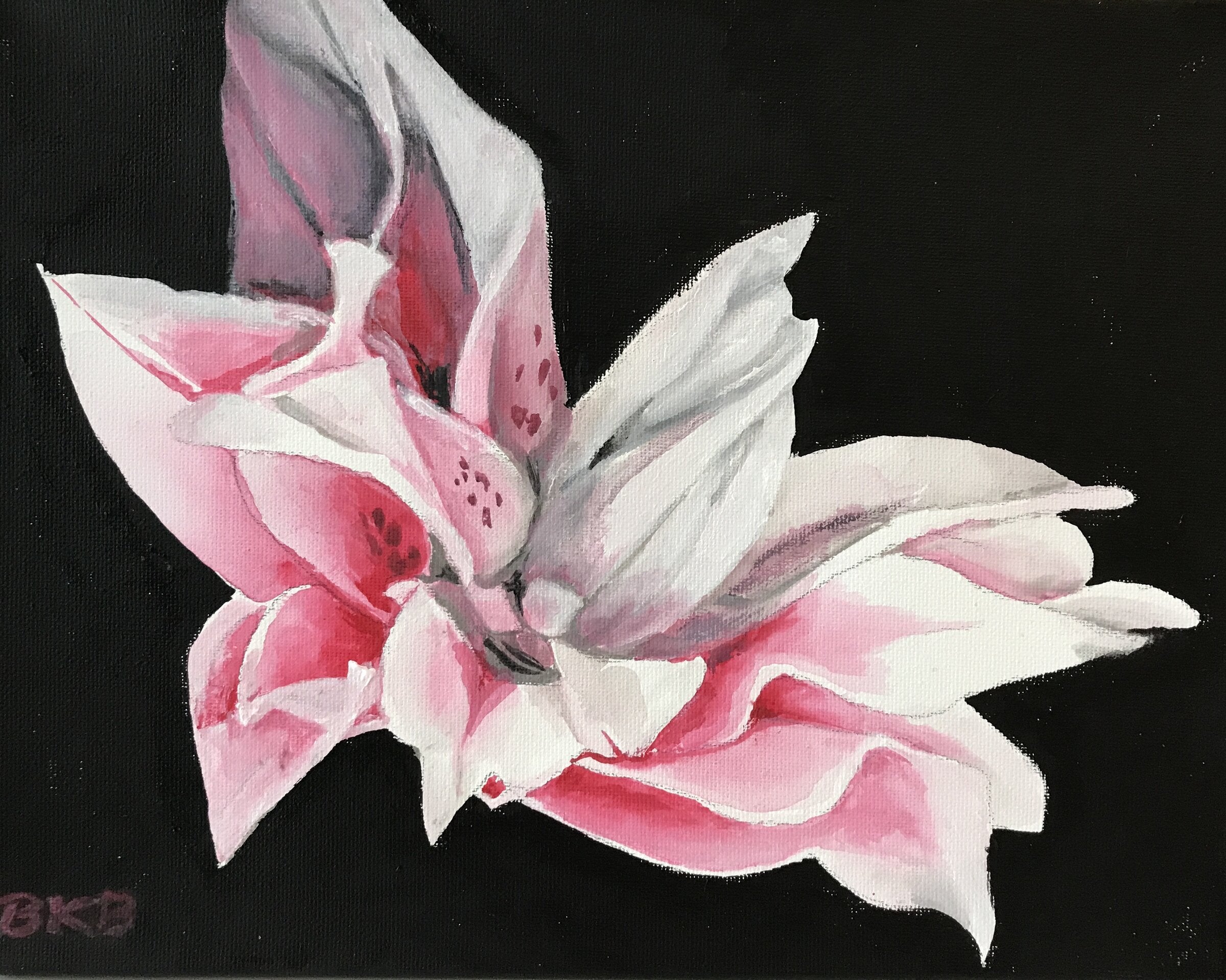 Elegance Spray