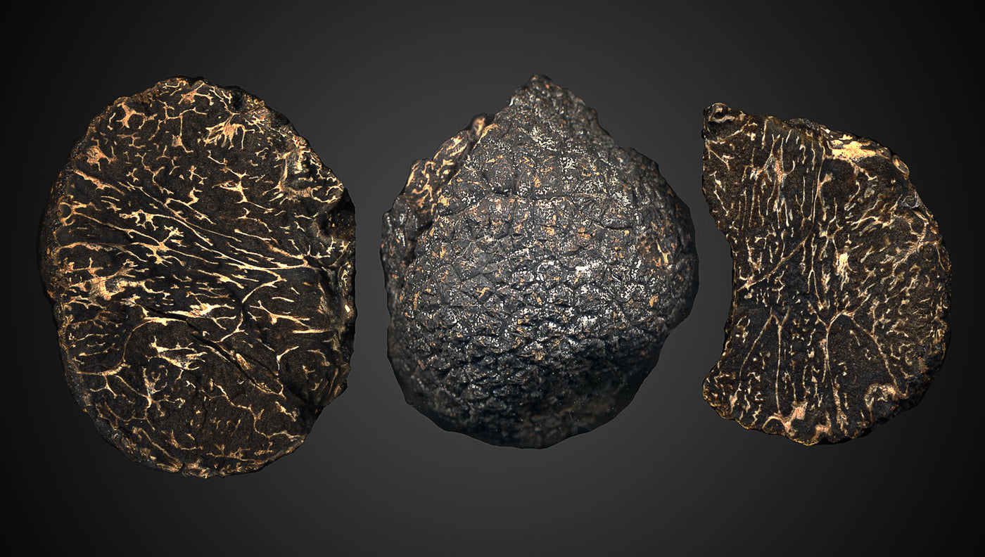 Perigord Black Truffle