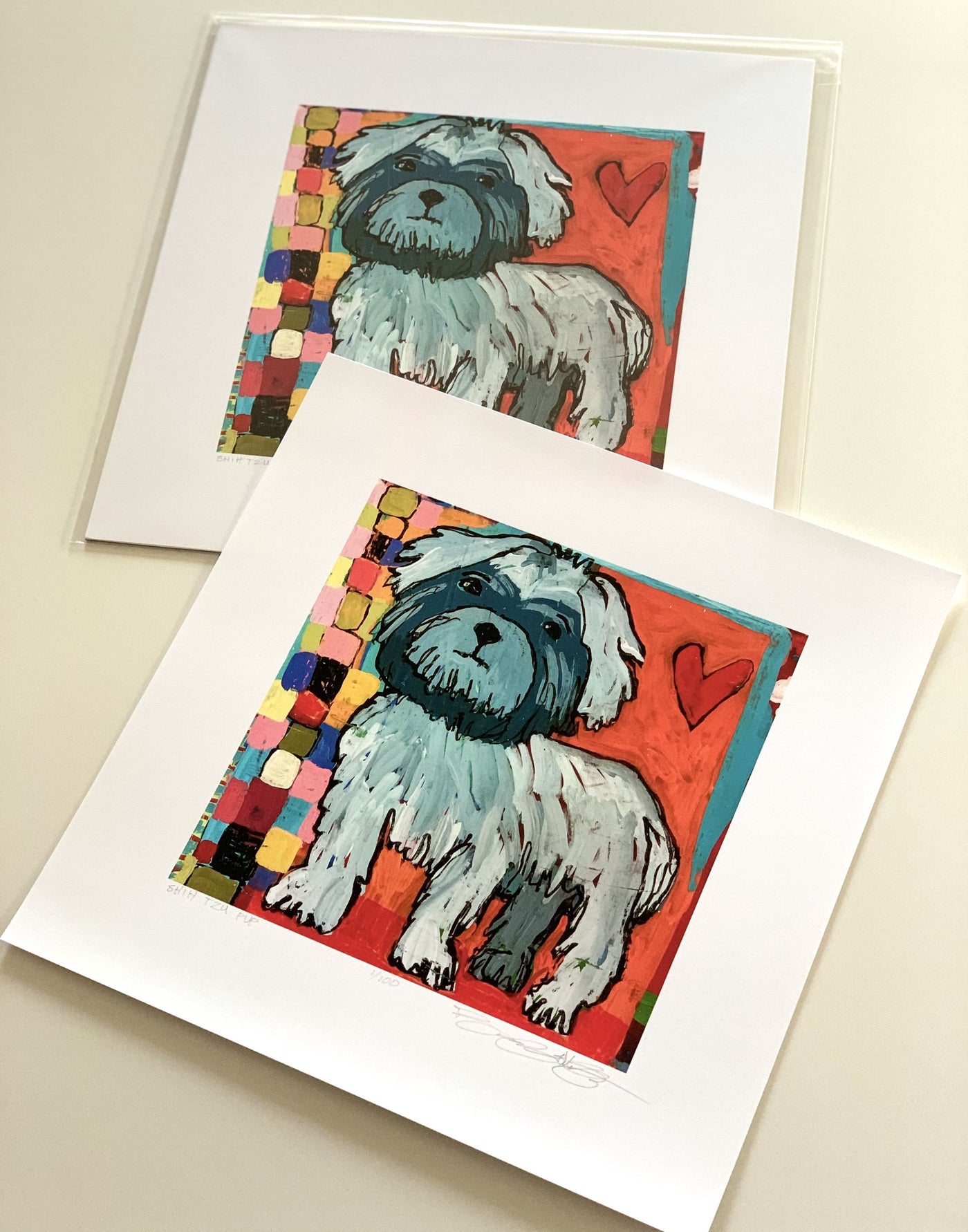 Shih Tzu Pup