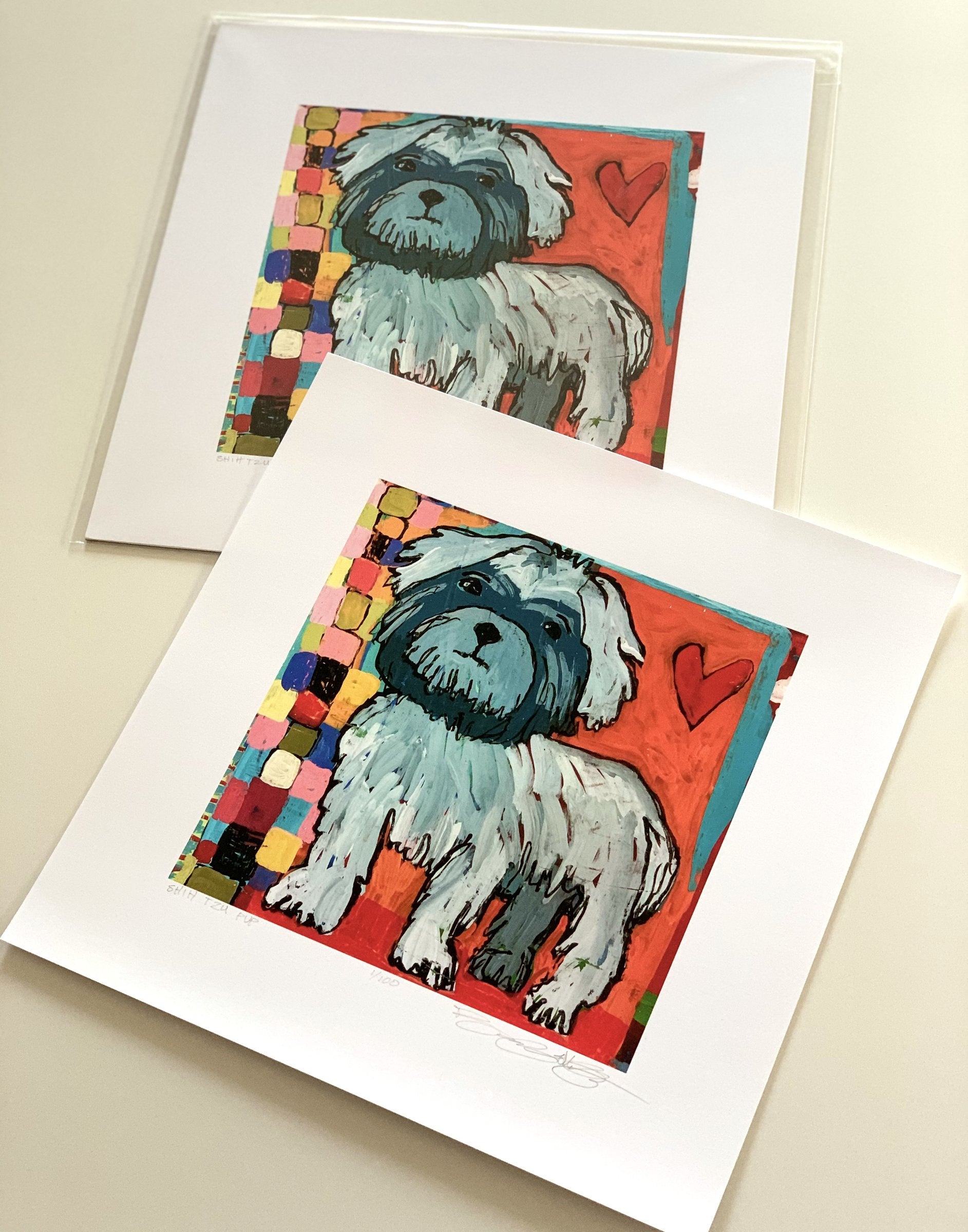 Shih Tzu Pup