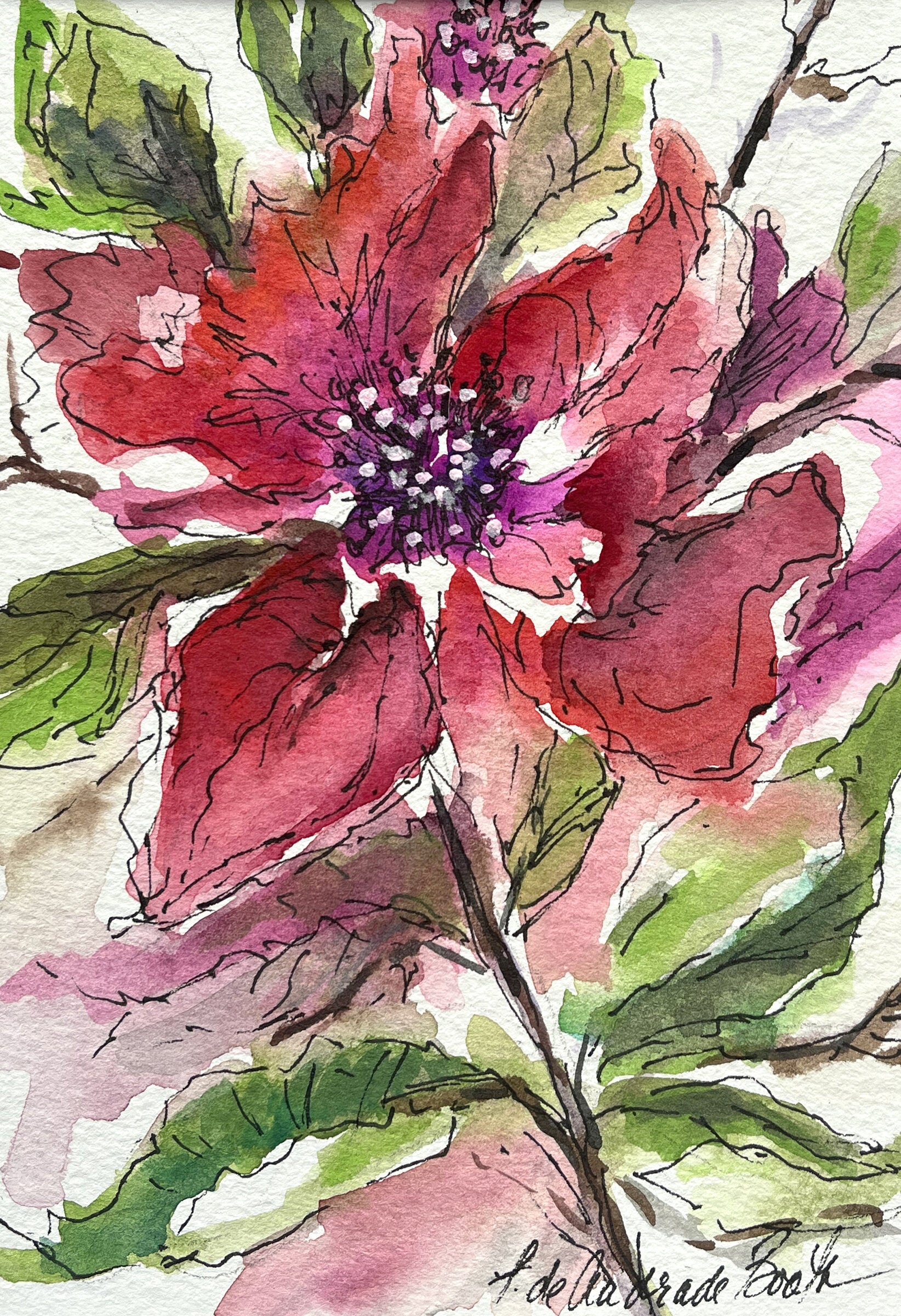 Poppy