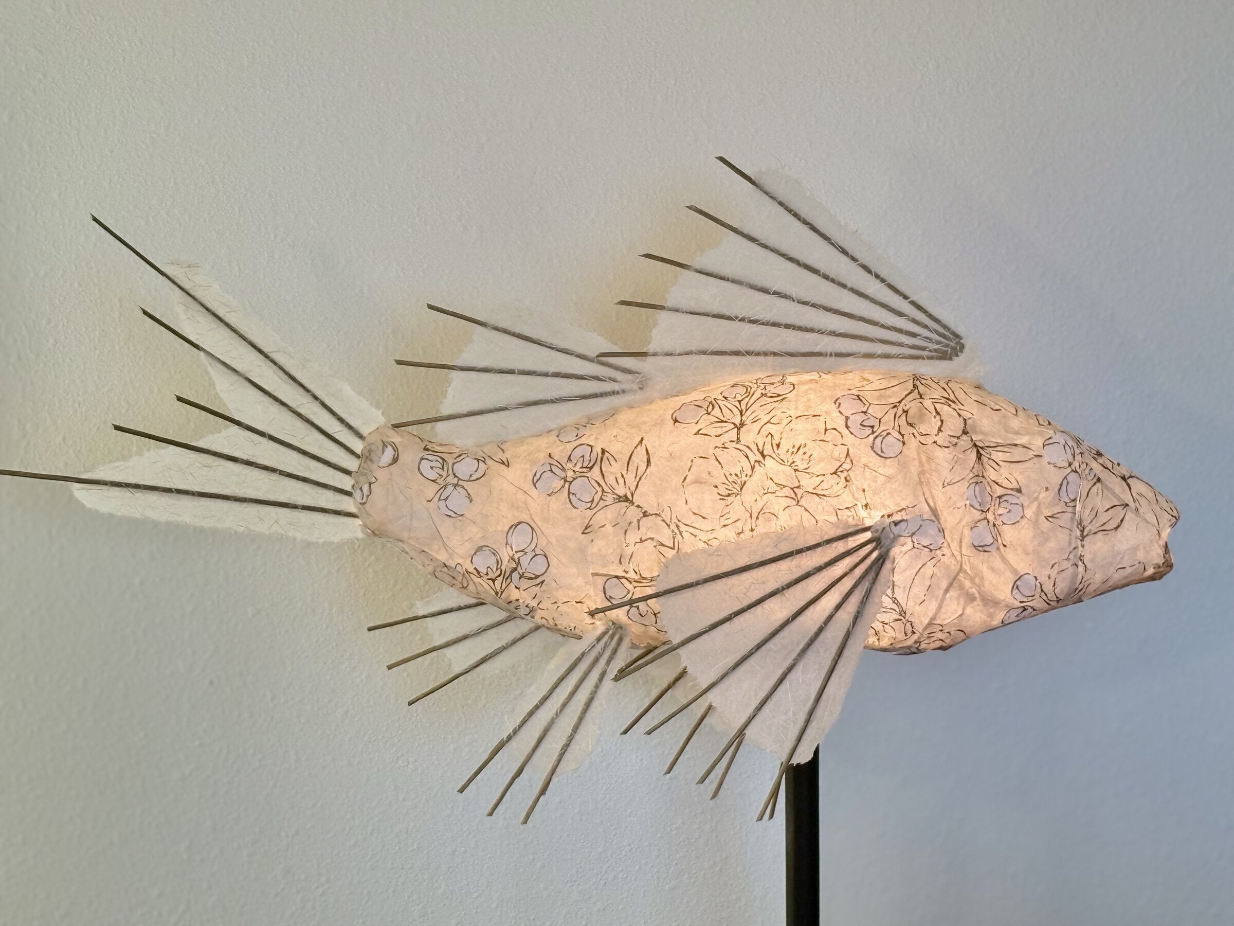 Apricot Koi Lamp