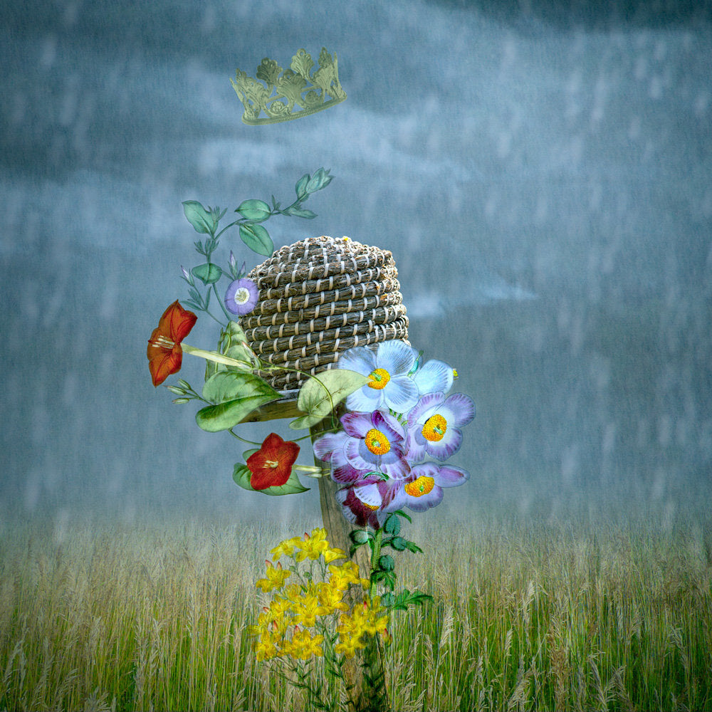 Apiary 1