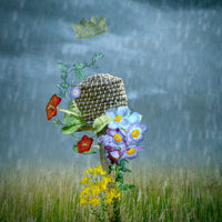Apiary 1