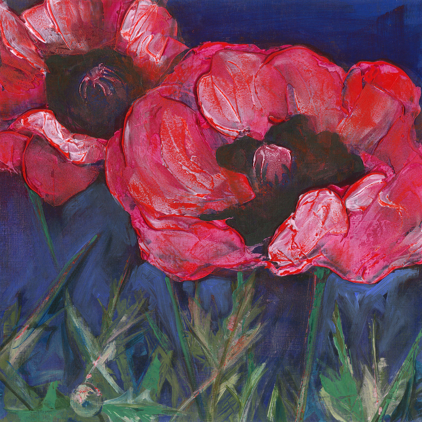 Red Poppies Dark Sky