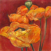 Orange on Red Poppies