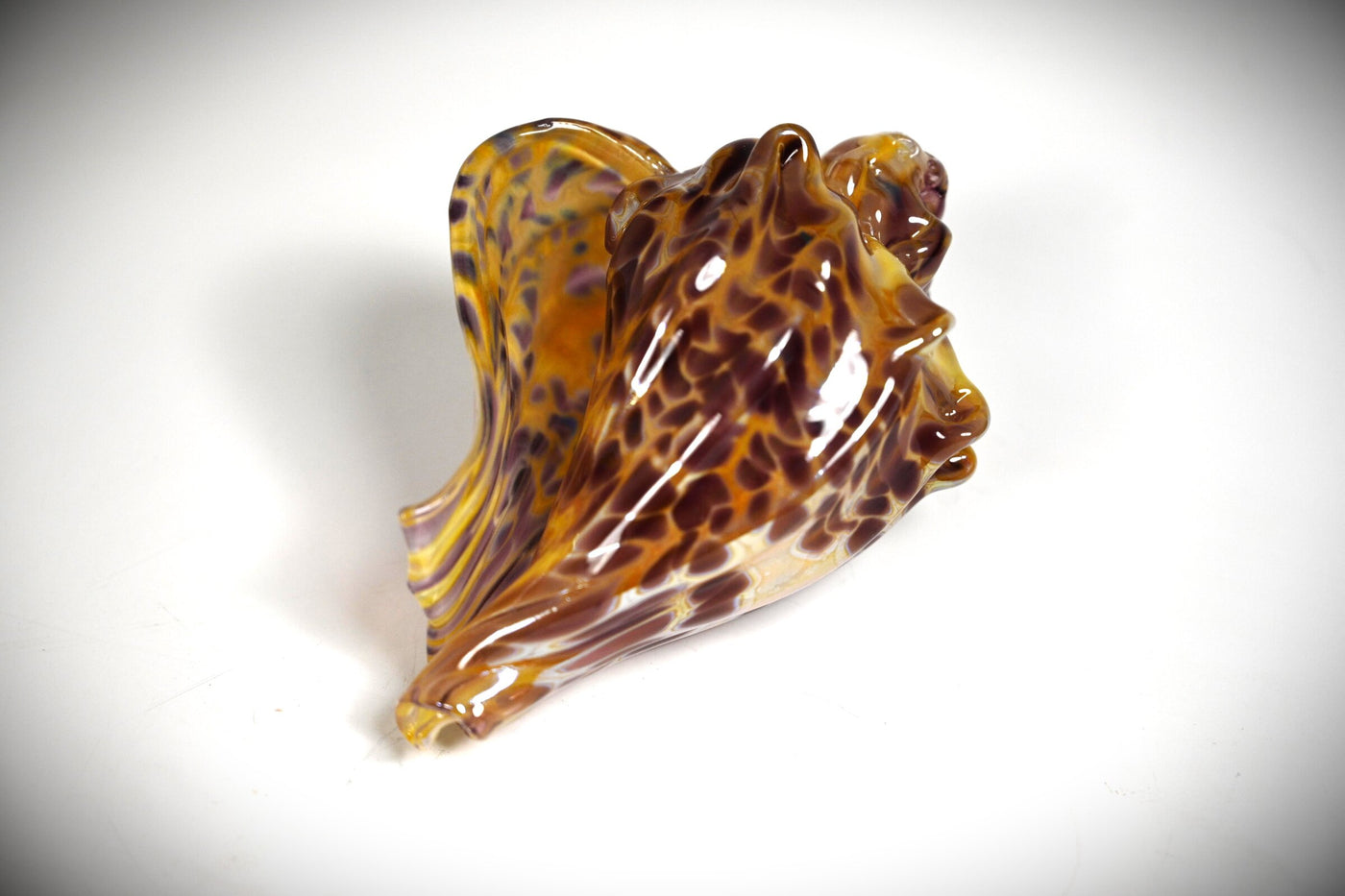 Small Leopard Shell
