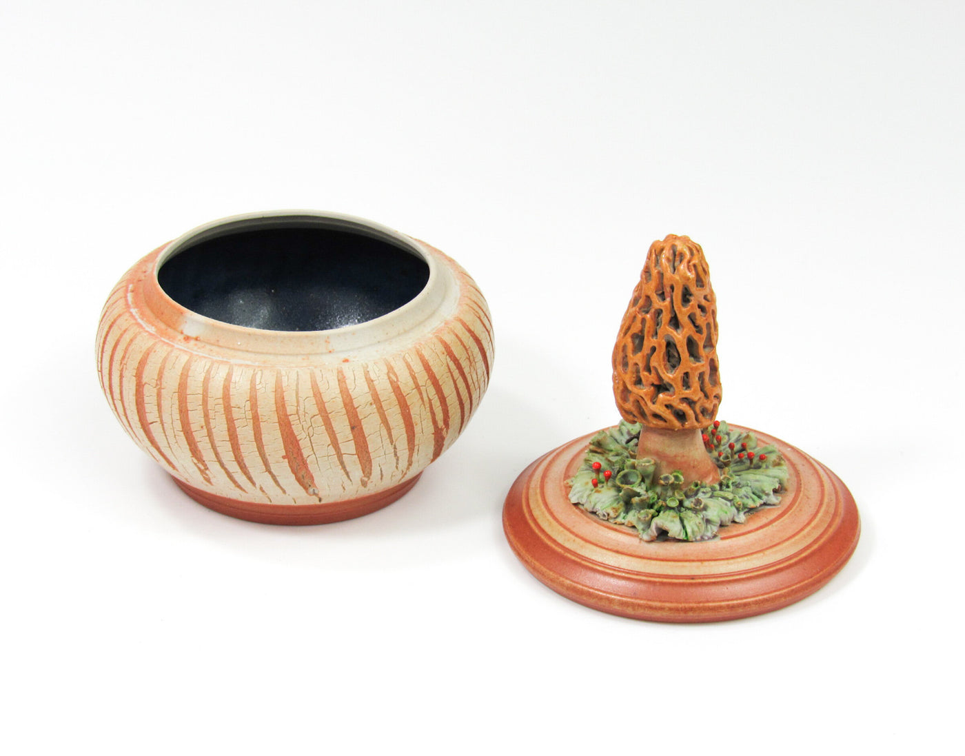 Morel Mushroom with Roly-Poly
