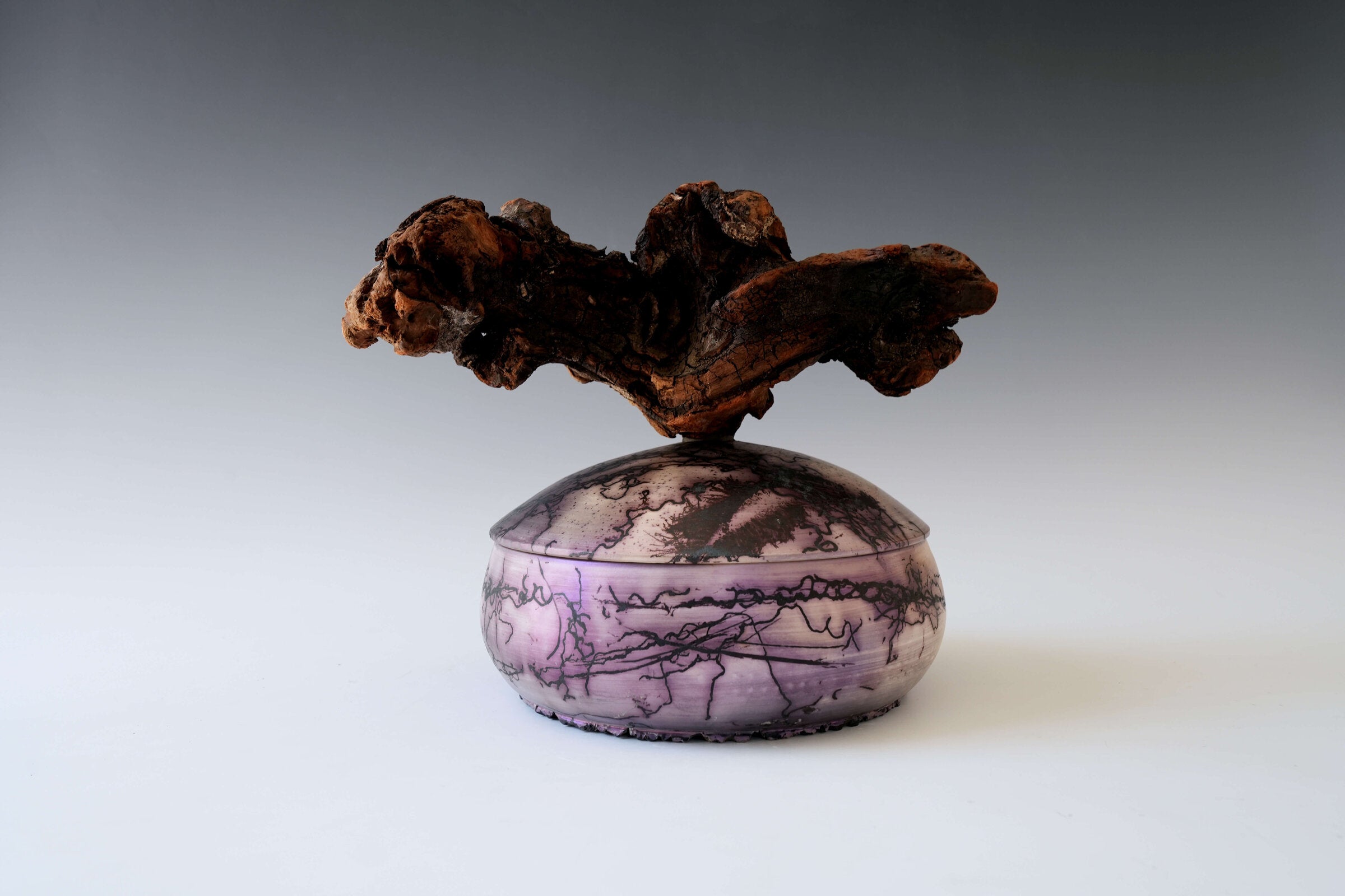 Nightroot Find Magic Forest Porcelain Vessel