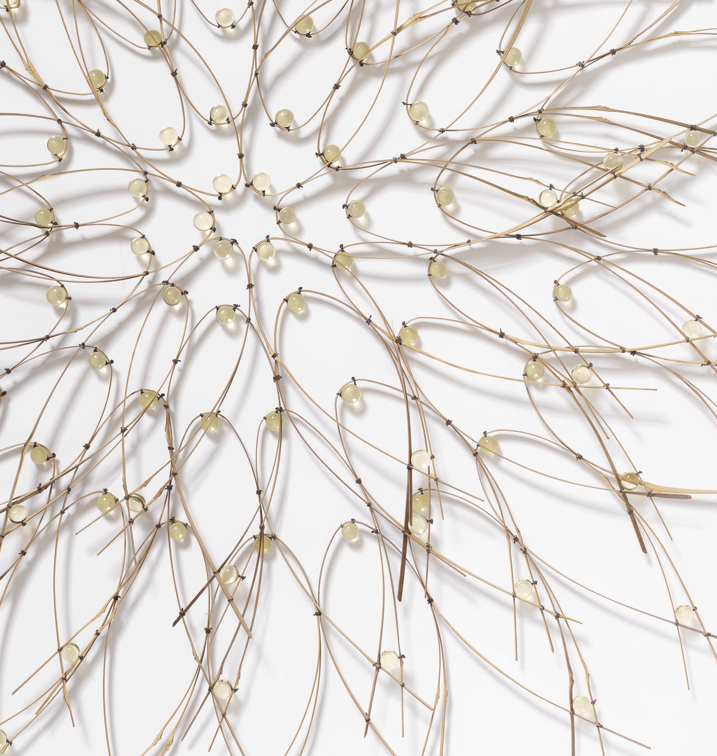 Detail: Large Light Yellow Bloom
