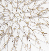 Detail: Large Light Yellow Bloom