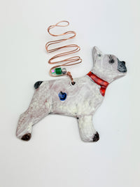 Dog: French Bulldog II