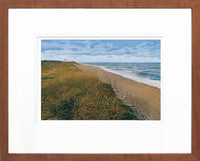 Nauset Beach