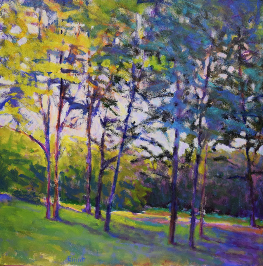 Trees in Half Shade