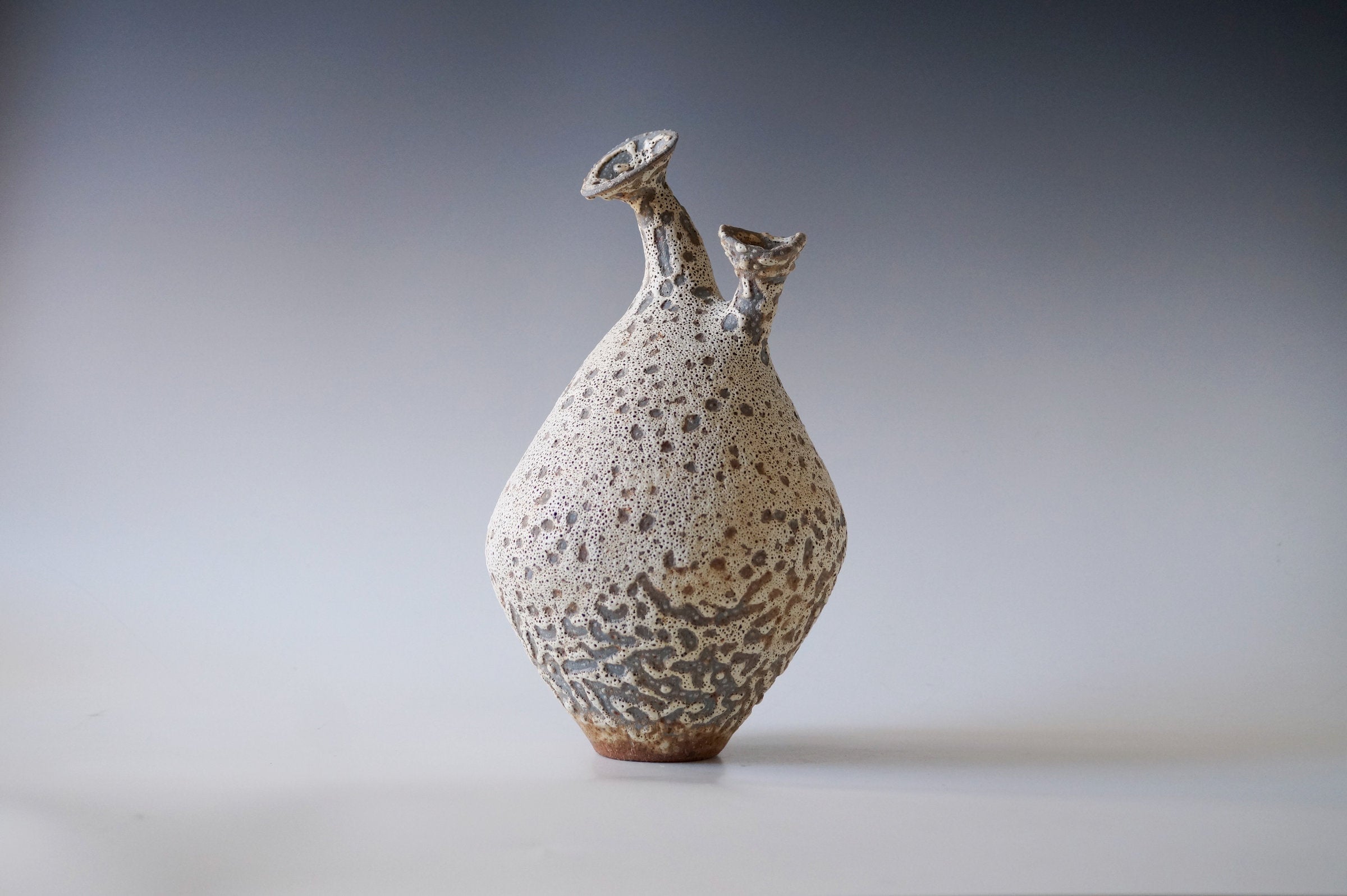 Coral Cluster Black Sea Porcelain Vessel