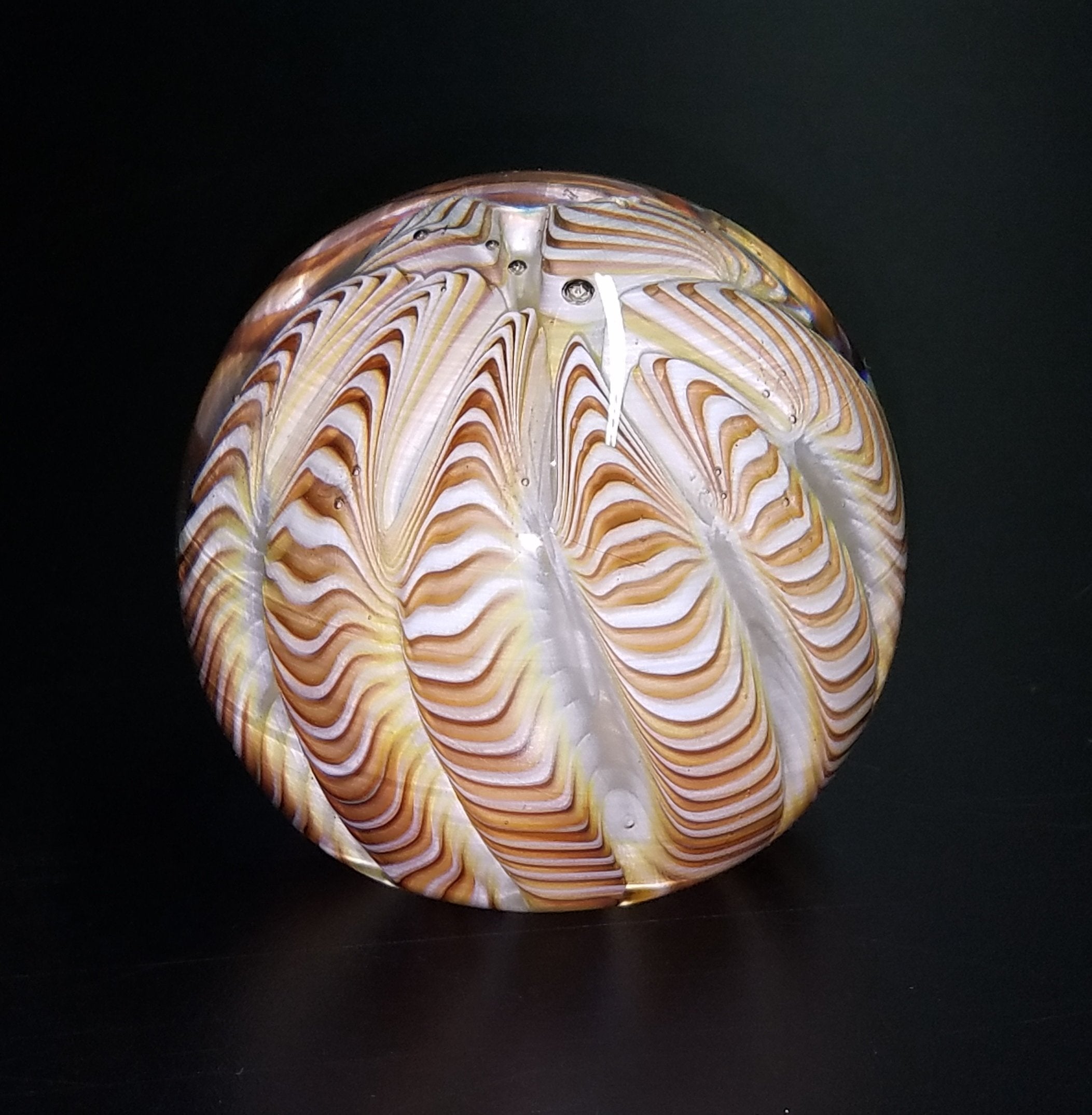 Earthtone Urchin