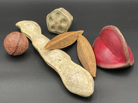 Seeds of Change, Grouping 3