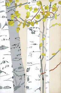 Aspen Summer Two