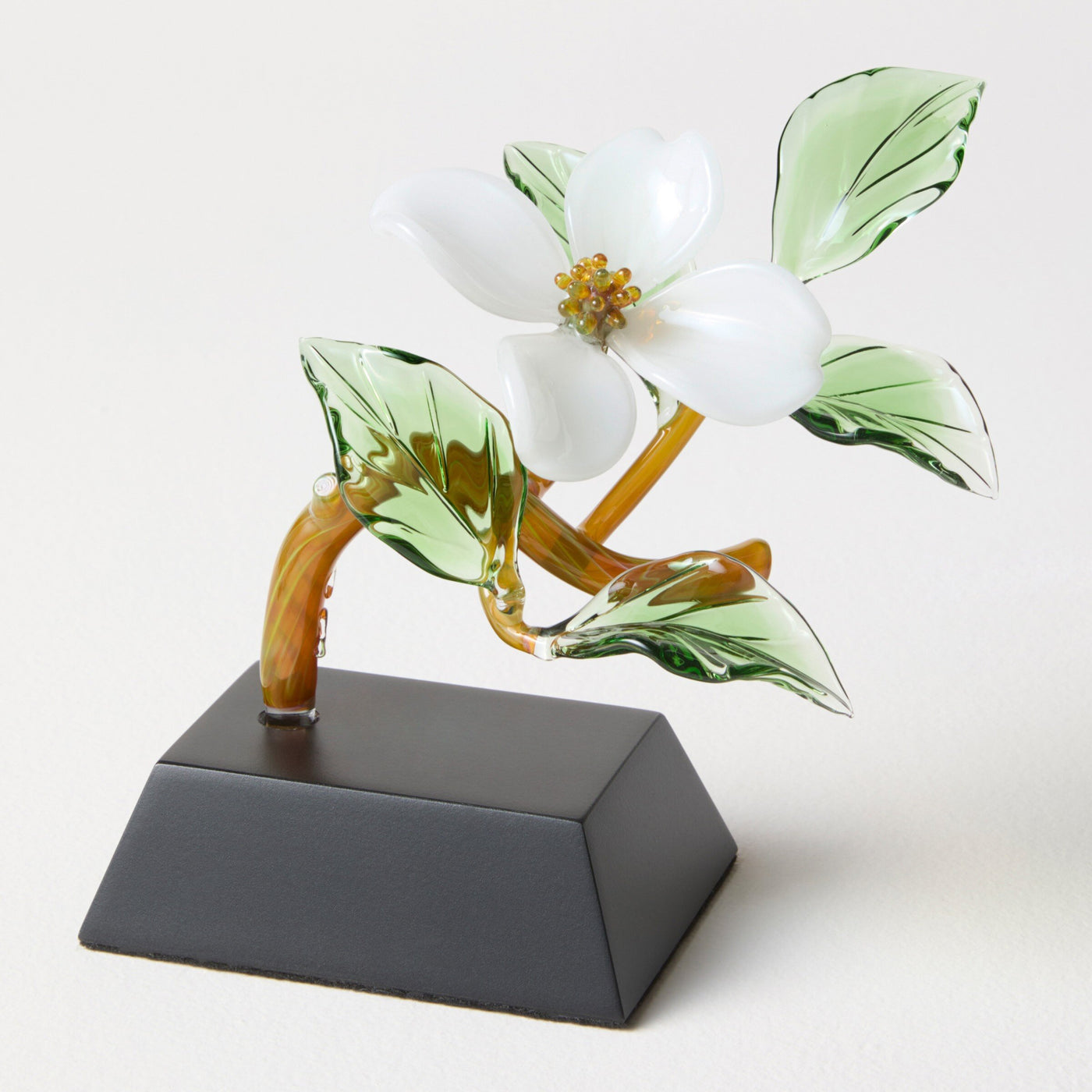 White Dogwood