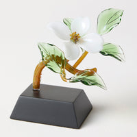 White Dogwood