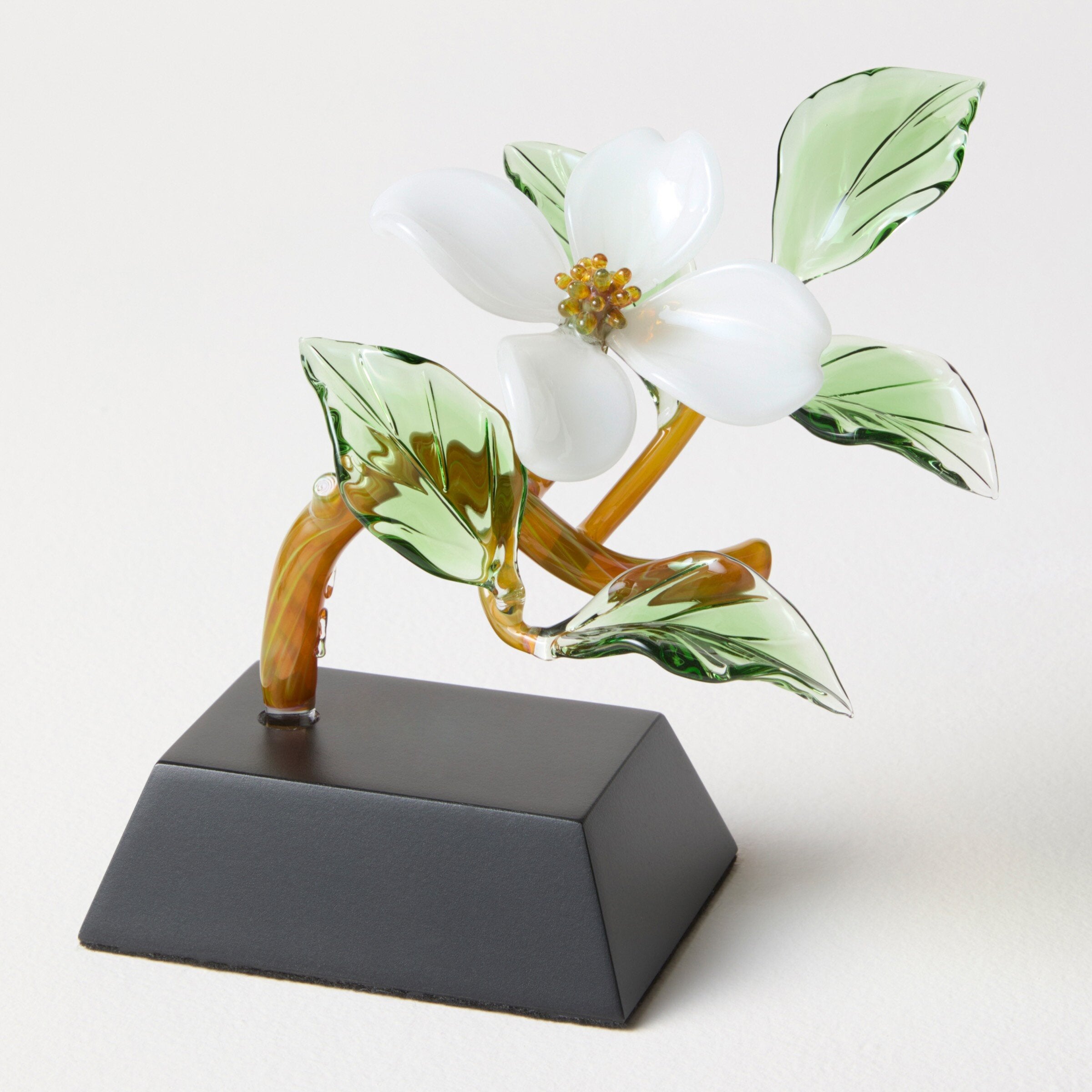 White Dogwood