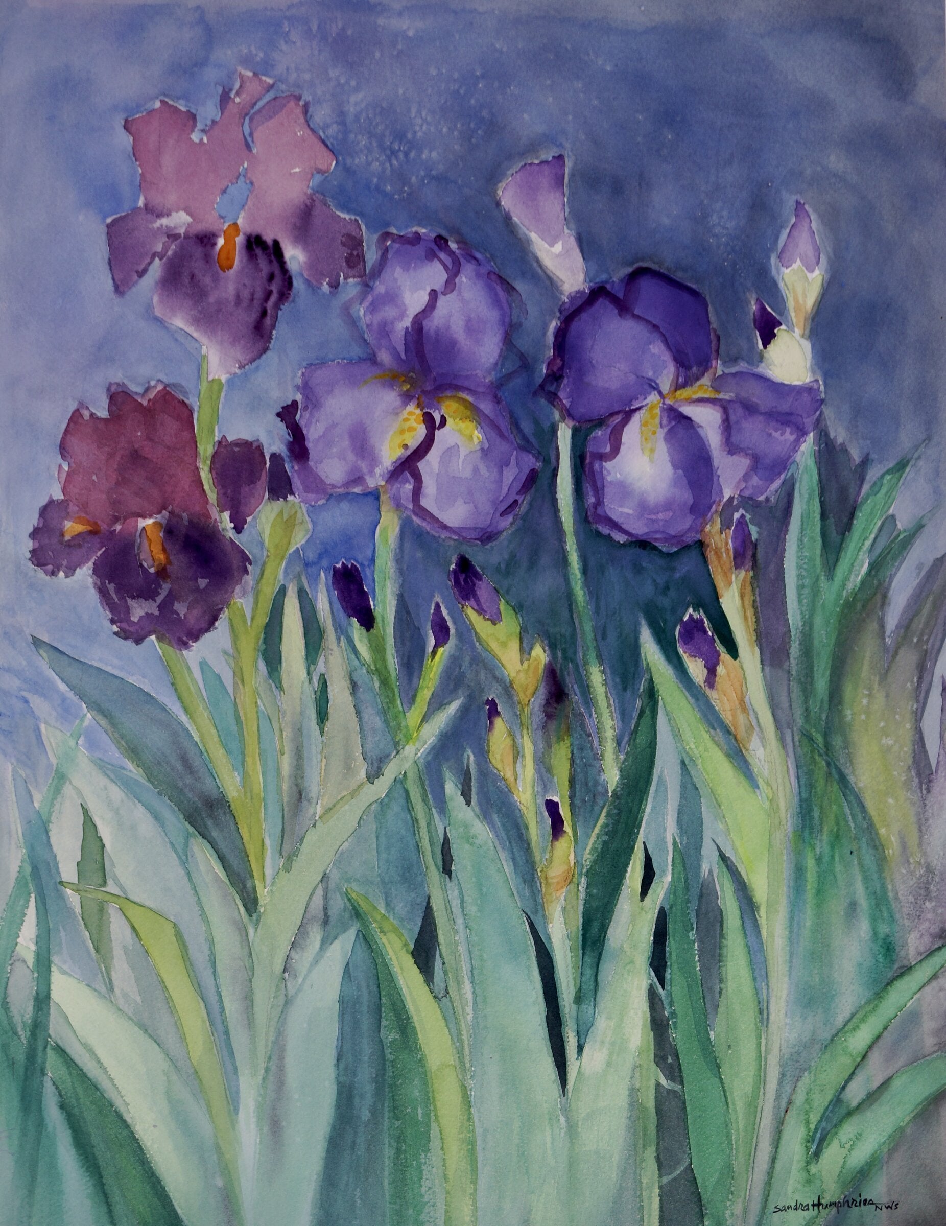Spring Garden 3