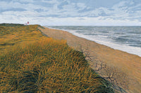 Nauset Beach