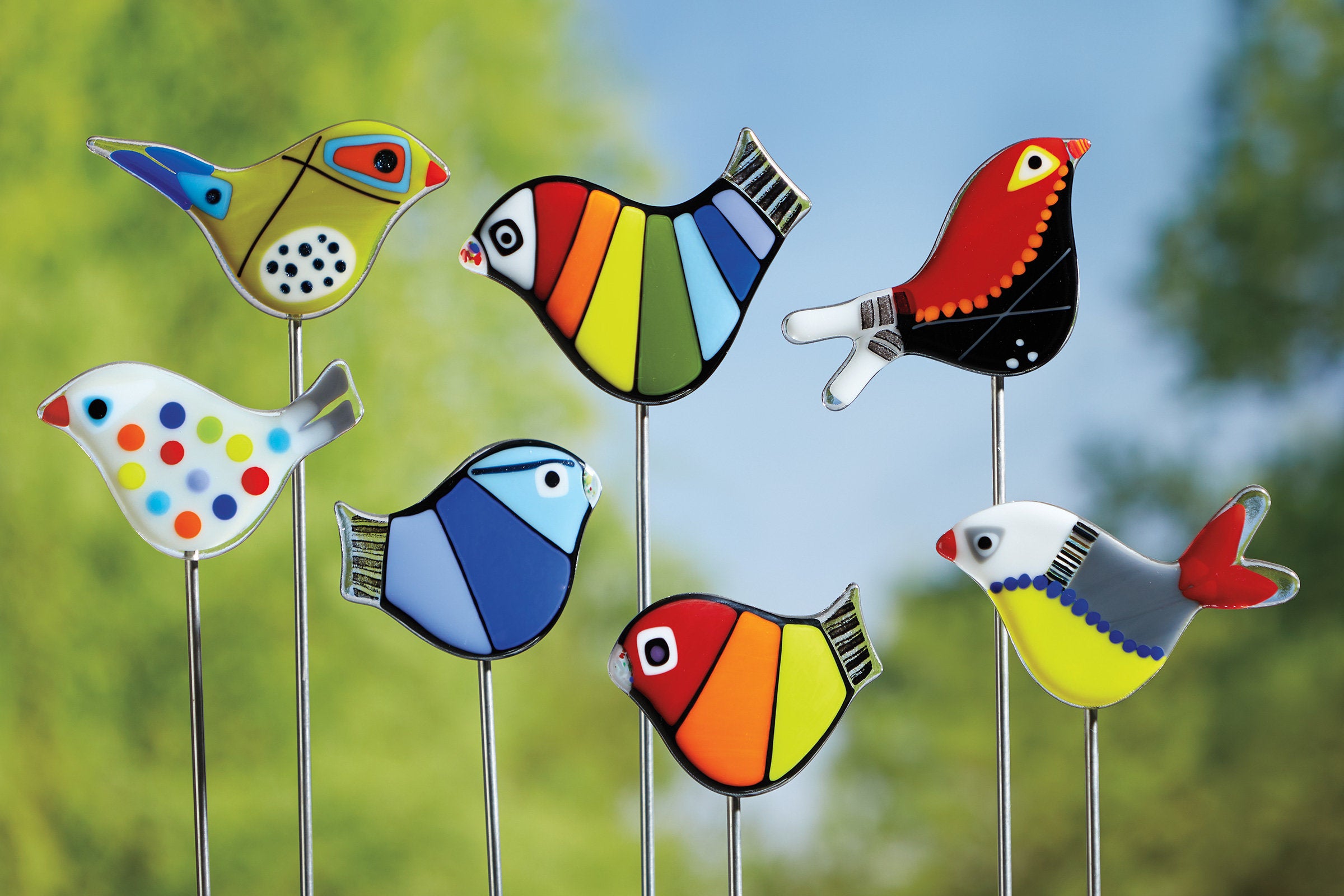 Rainbow Garden Birds