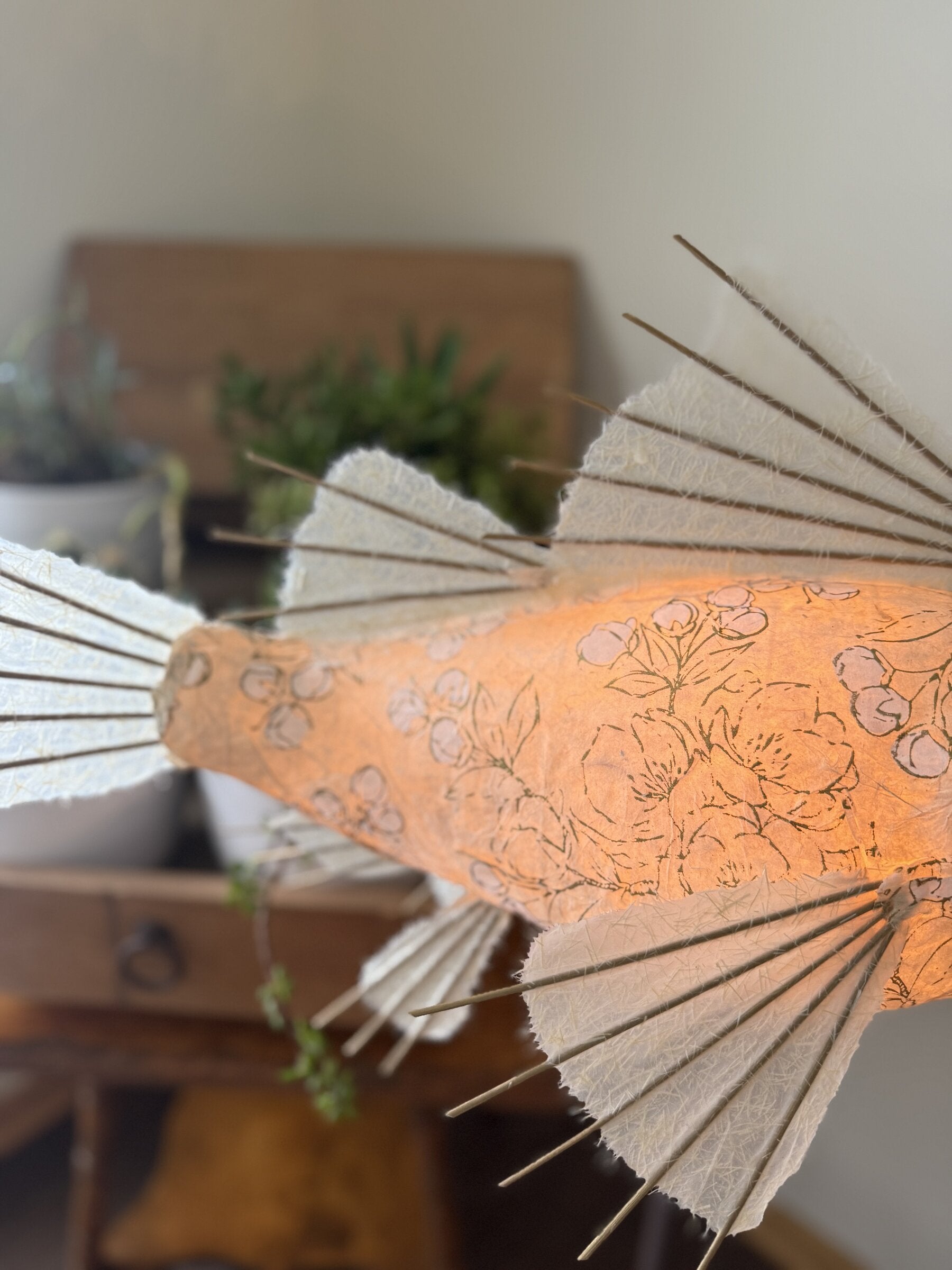 Apricot Koi Lamp