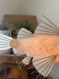 Apricot Koi Lamp