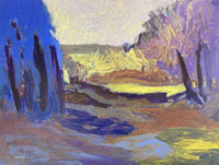 Shadowed Pathway