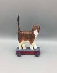 Brown Tabby