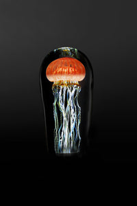 Pacific Coast Jellyfish Mini