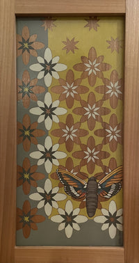 Daisy Moth