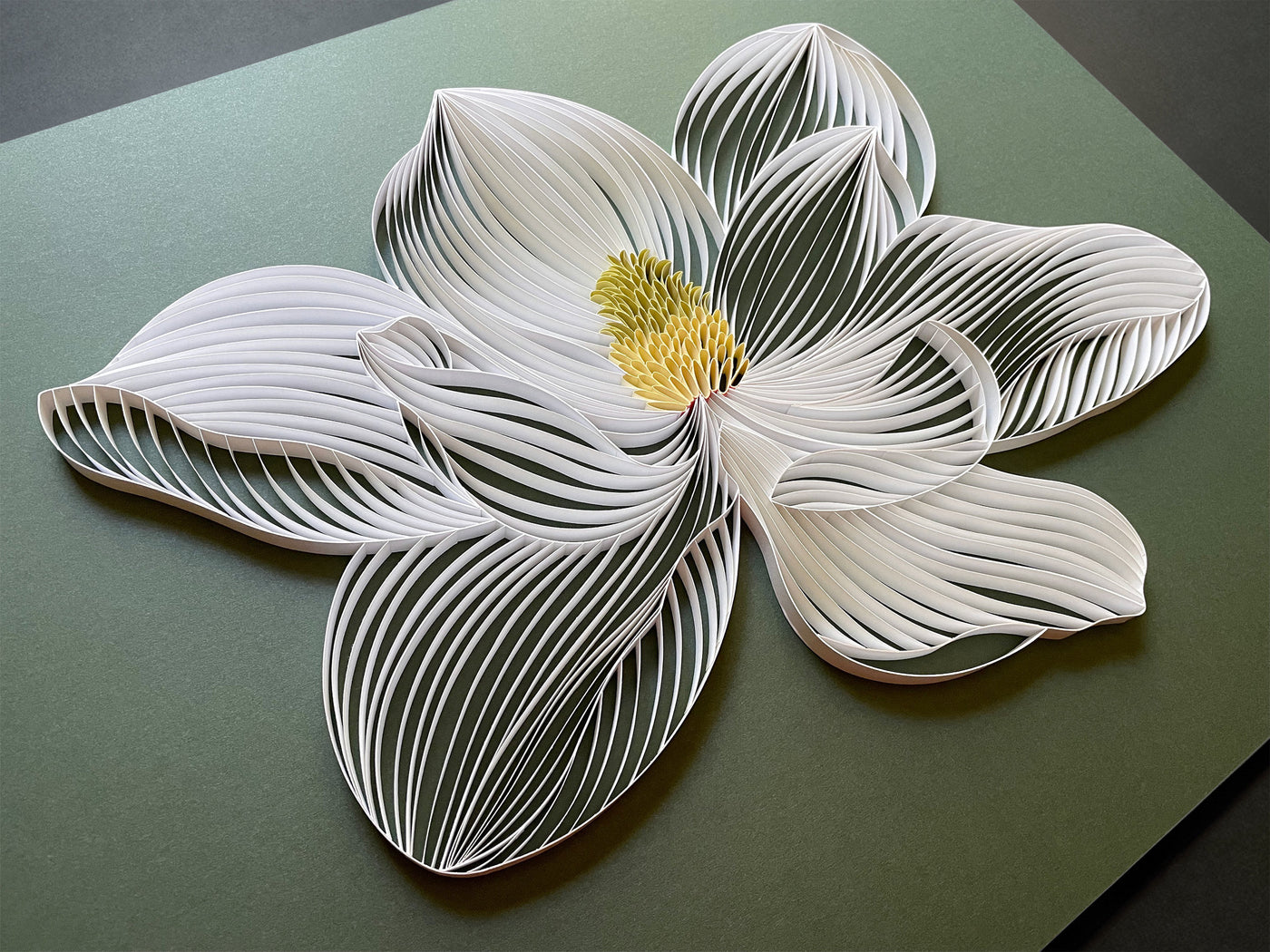 White Magnolia
