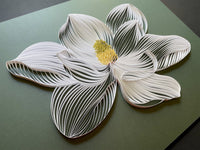 White Magnolia