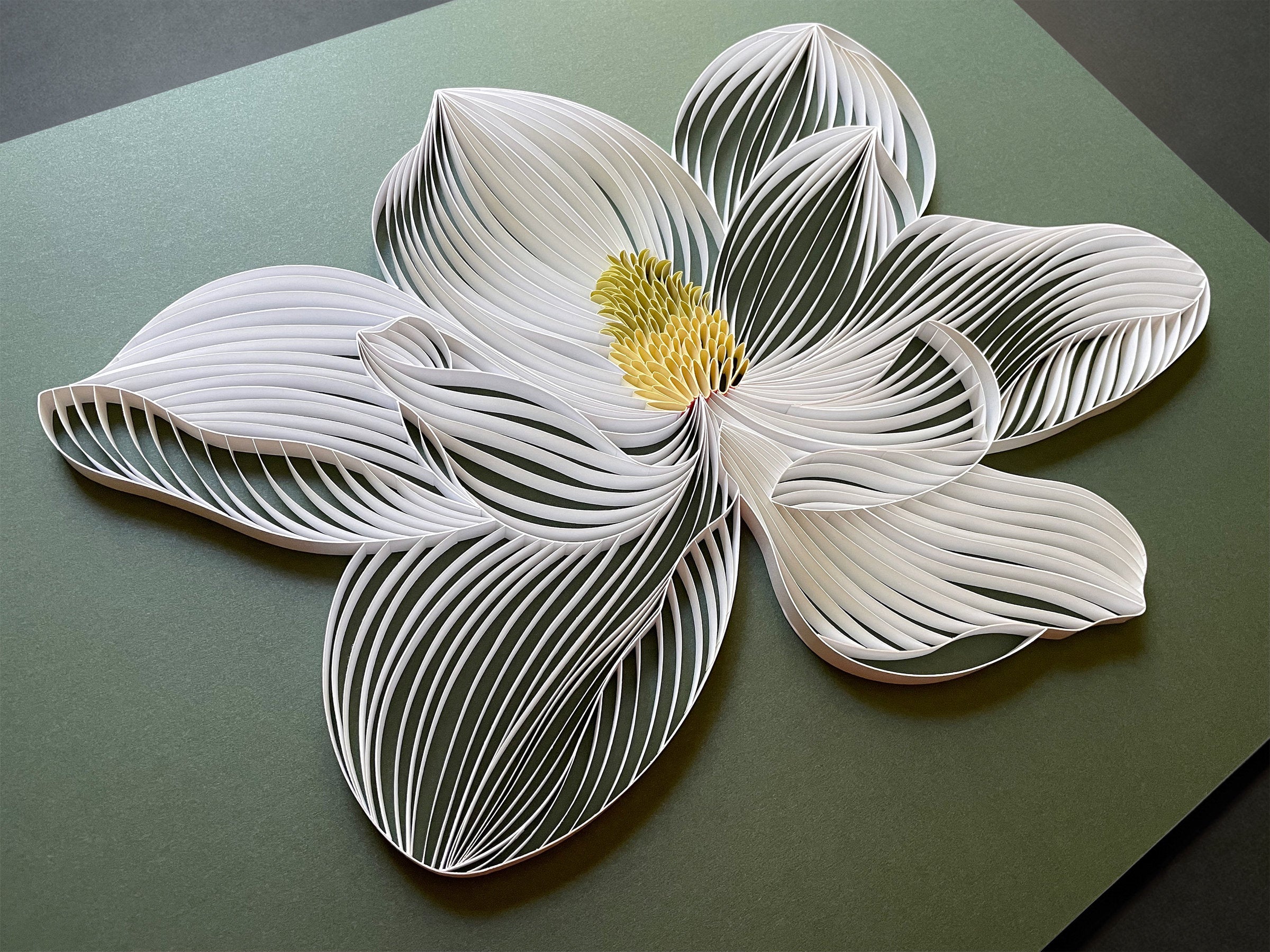 White Magnolia