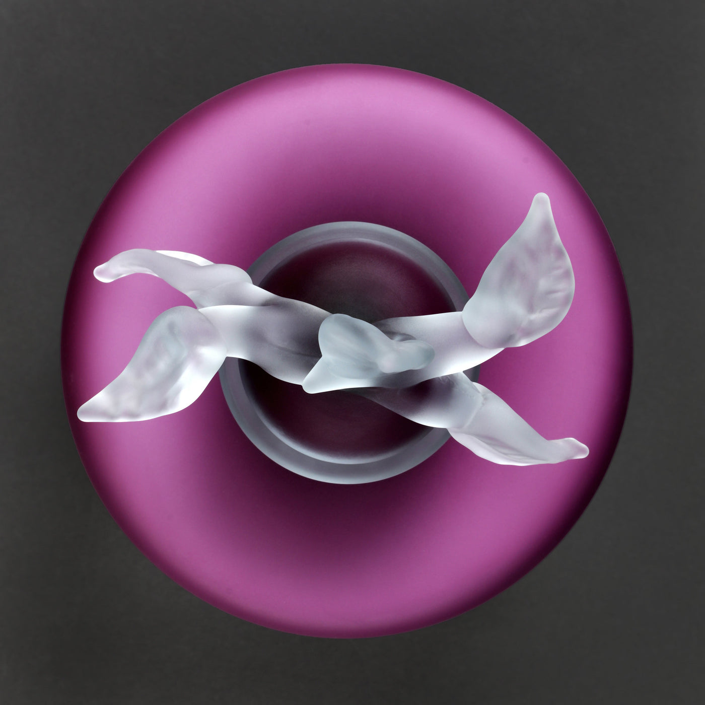 Orchid New Life Deluxe Satin Cylinder