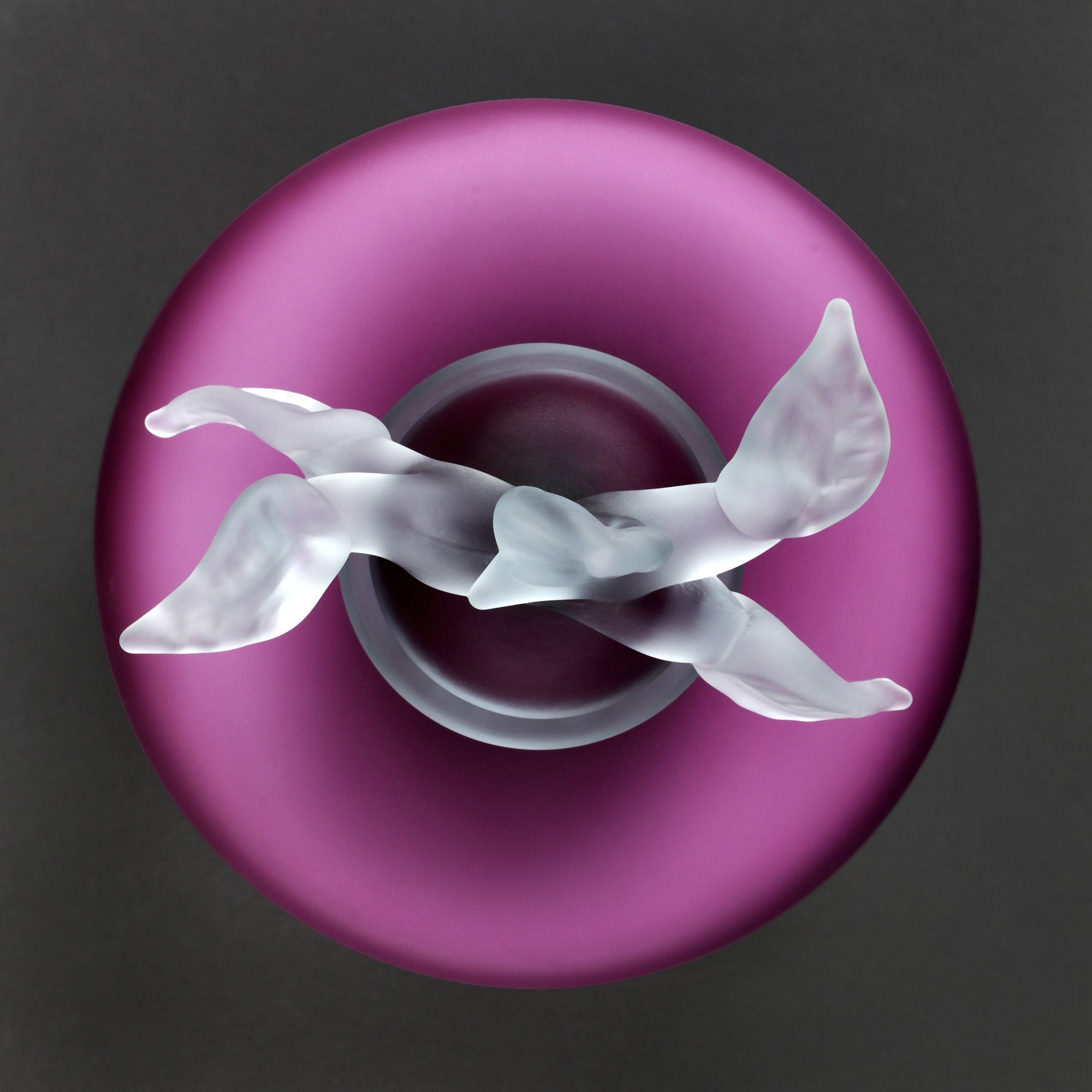 Orchid New Life Deluxe Satin Cylinder