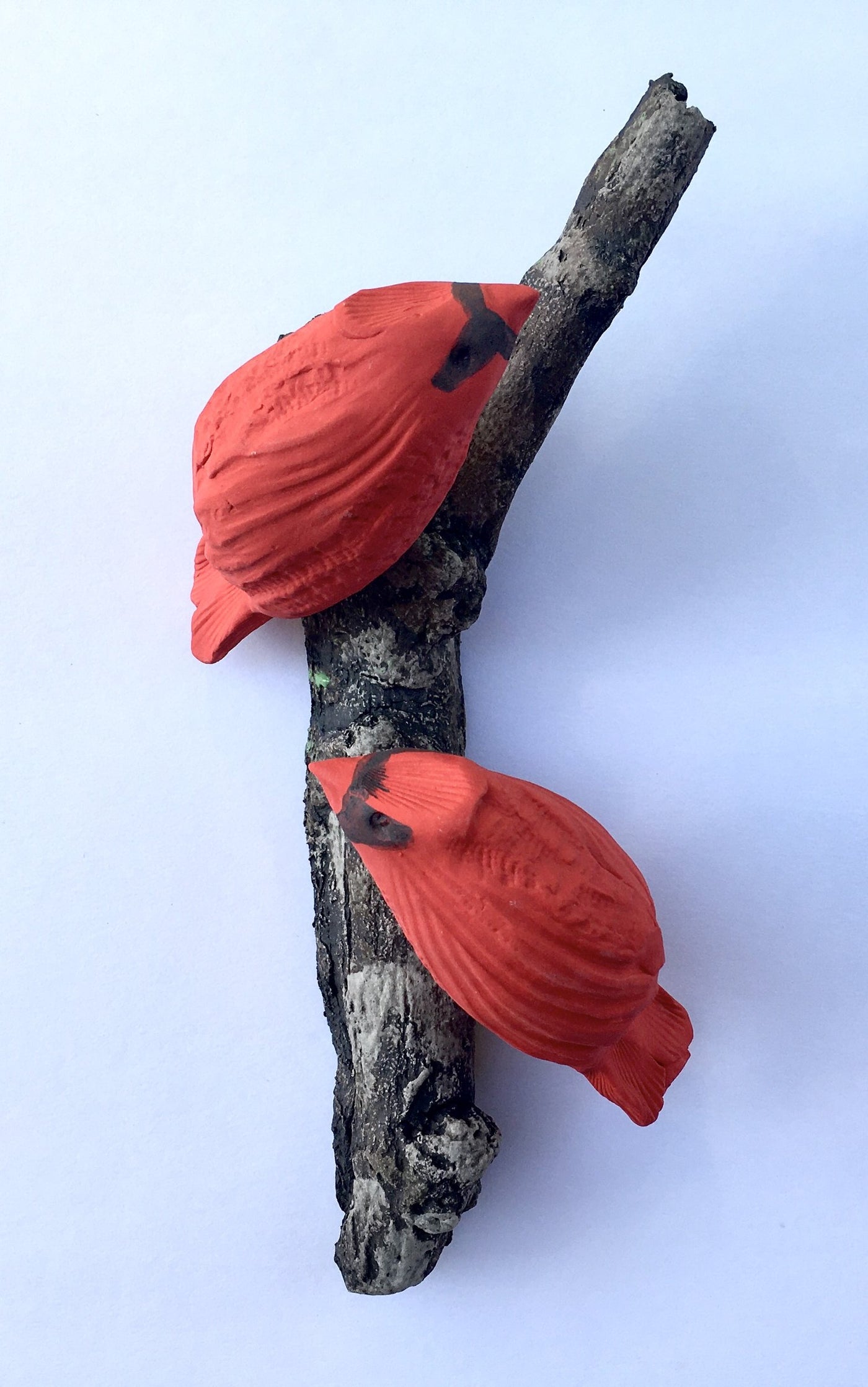 Cardinal Duo