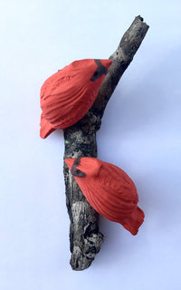Cardinal Duo