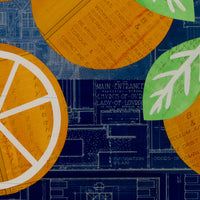 Oranges No. 6