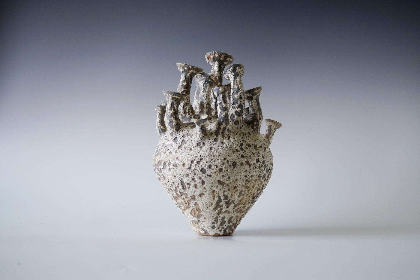 Tide Cluster Black Sea Porcelain Vessel