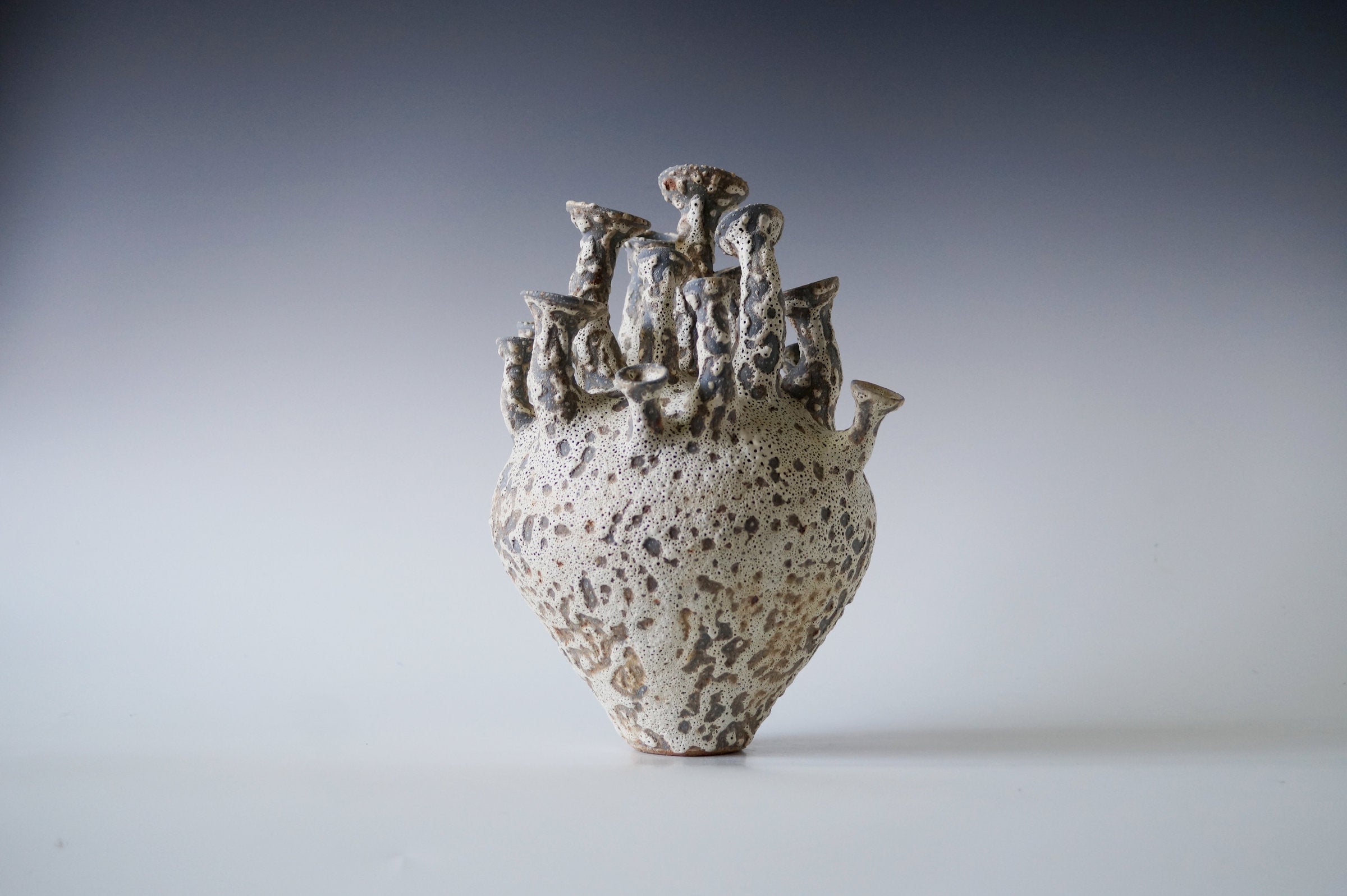 Tide Cluster Black Sea Porcelain Vessel