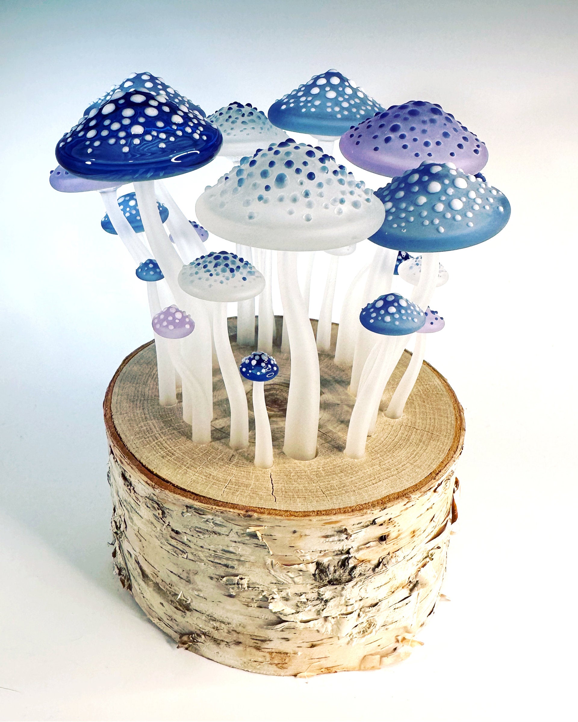 Fairy Ring