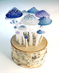 Fairy Ring