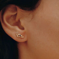 Central Park Shrubs Earrings